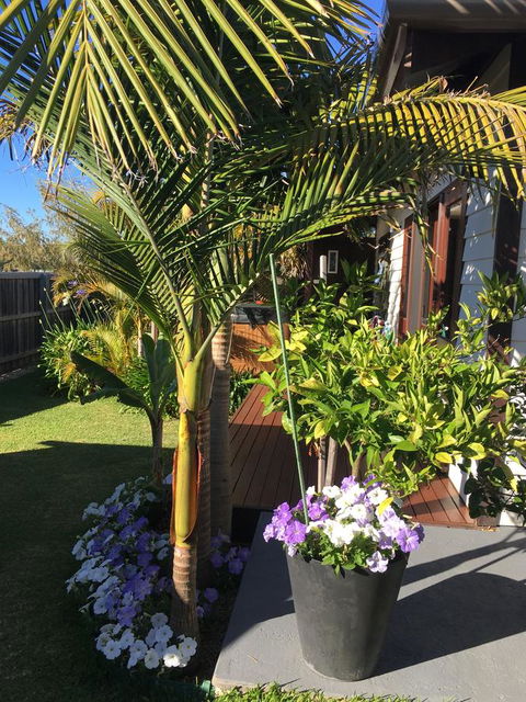 Bella Bali Gardens - Accommodation Rockhampton 23