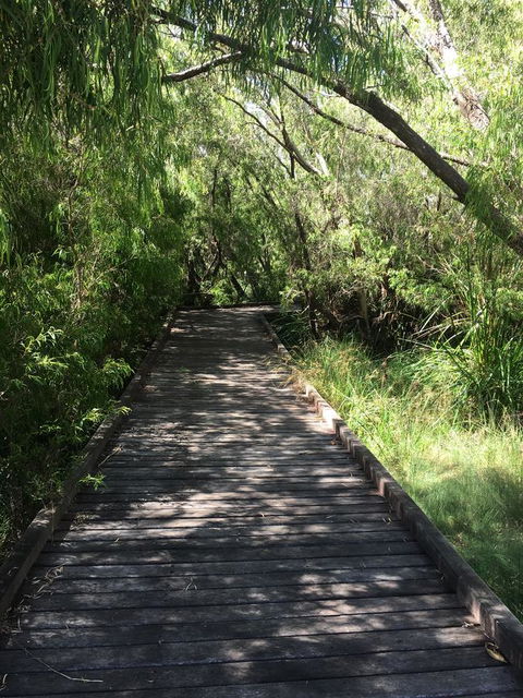 Bella Bali Gardens - Accommodation Rockhampton 36