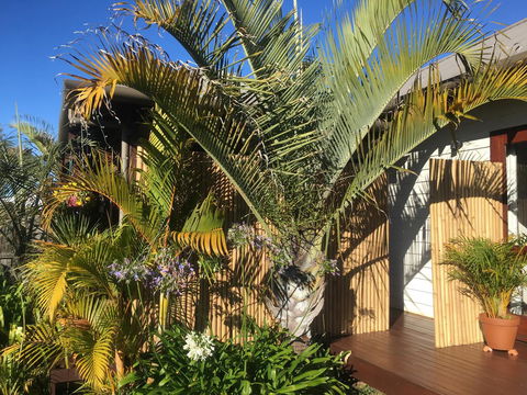 Bella Bali Gardens - Accommodation Rockhampton 7