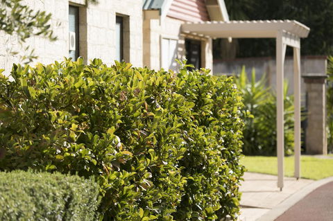Amalfi Resort - Accommodation Rockhampton 9