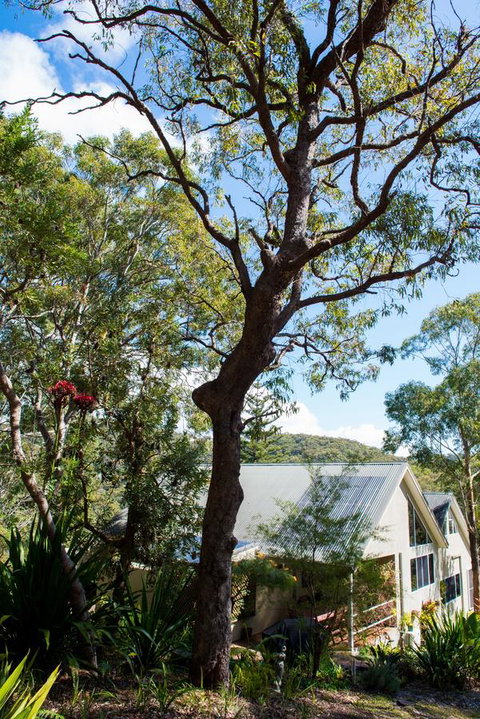 Nelson Bay Bed & Breakfast - Accommodation Rockhampton 42