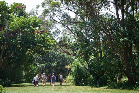 Ingenia Holidays Byron Bay - Accommodation Rockhampton 11