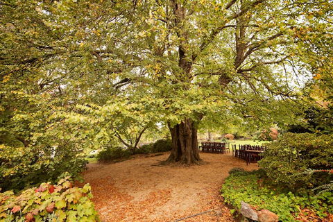 Nesuto Leura Gardens (formerly Waldorf Leura Gardens Resort) - Accommodation Rockhampton 1