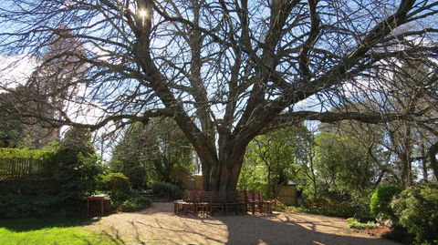 Nesuto Leura Gardens (formerly Waldorf Leura Gardens Resort) - Accommodation Rockhampton 3
