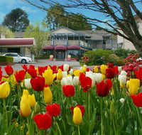 Nesuto Leura Gardens formerly Waldorf Leura Gardens Resort - Accommodation Rockhampton