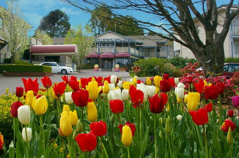 Nesuto Leura Gardens (formerly Waldorf Leura Gardens Resort) - Accommodation Rockhampton 0