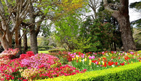 Nesuto Leura Gardens (formerly Waldorf Leura Gardens Resort) - Accommodation Rockhampton 8