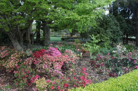 Nesuto Leura Gardens (formerly Waldorf Leura Gardens Resort) - Accommodation Rockhampton 2
