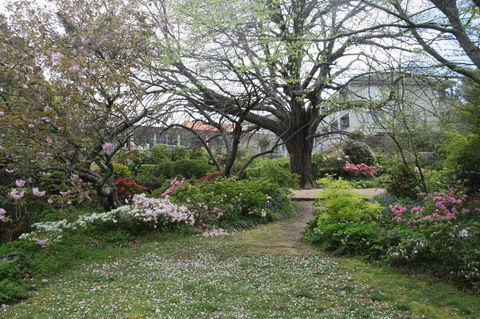 Nesuto Leura Gardens (formerly Waldorf Leura Gardens Resort) - Accommodation Rockhampton 4