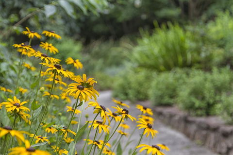 Nesuto Leura Gardens (formerly Waldorf Leura Gardens Resort) - Accommodation Rockhampton 16