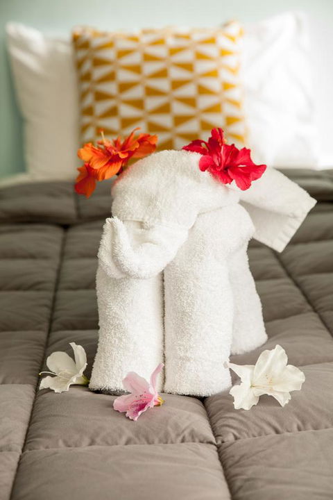 Kempsey Rose Motor Inn - Accommodation Rockhampton 17