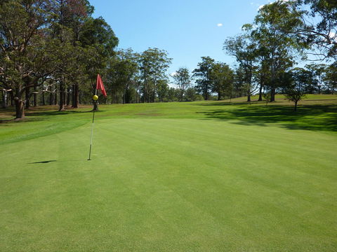 Kempsey Rose Motor Inn - Accommodation Rockhampton 3
