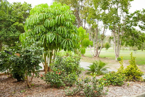 Kempsey Rose Motor Inn - Accommodation Rockhampton 42