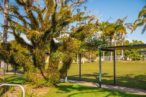 Kempsey Rose Motor Inn - Accommodation Rockhampton 41