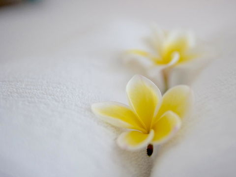 Cossies By The Sea - Accommodation Rockhampton 16