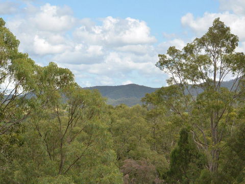 Villa Executive 2br Cypress DS Located Within Cypress Lakes Resort - Accommodation Rockhampton 8