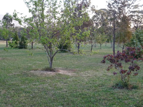 Romanz In The Valley (Luxury B&B) - Accommodation Rockhampton 32