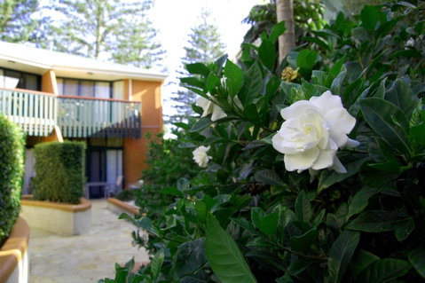 The Crest Byron Bay - Accommodation Rockhampton 29