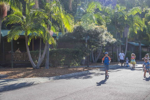 The Palms At Avoca - Accommodation Rockhampton 14