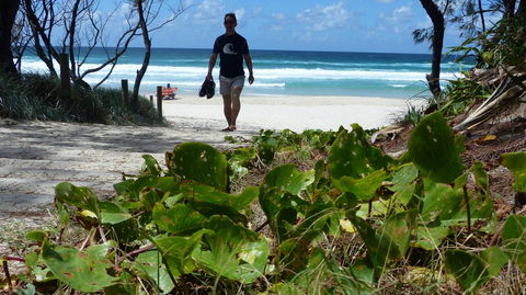 SaltBeach2302 - Accommodation Rockhampton 15