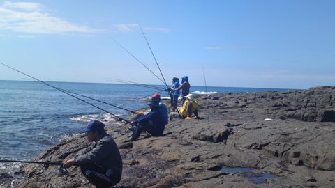 Sweet Spot Shellharbour - Accommodation Rockhampton 13