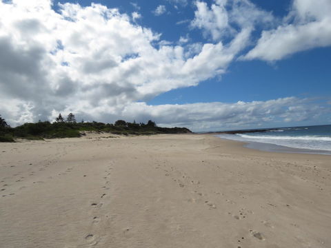 Sweet Spot Shellharbour - Accommodation Rockhampton 15
