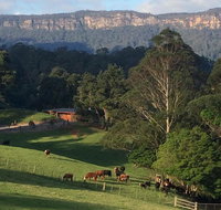 Amaroo Valley Springs - Accommodation Rockhampton
