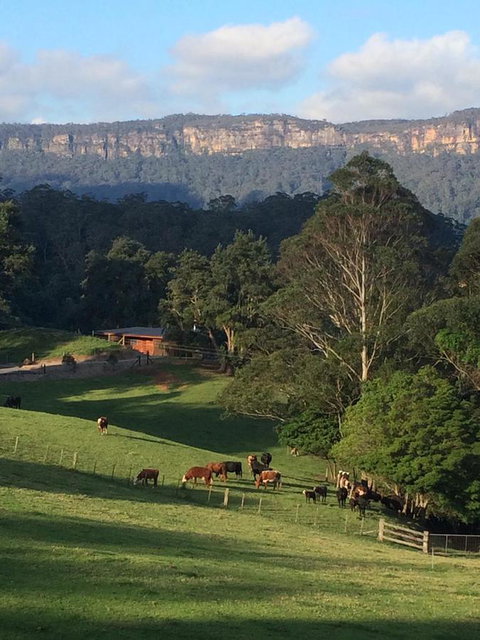 Amaroo Valley Springs - Accommodation Rockhampton 0