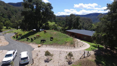 Amaroo Valley Springs - Accommodation Rockhampton 19