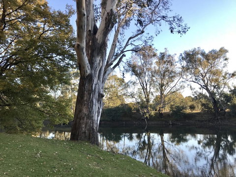 The Botanical 201 - Accommodation Rockhampton 18