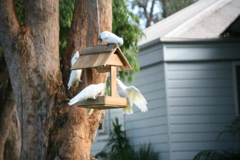 Huskisson Holiday Motel Cabins - Accommodation Rockhampton 29
