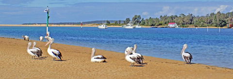 Pelican Motor Inn - Accommodation Rockhampton 29