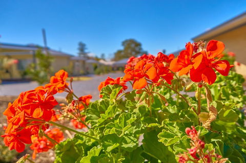 Hunter Oasis - Accommodation Rockhampton 42