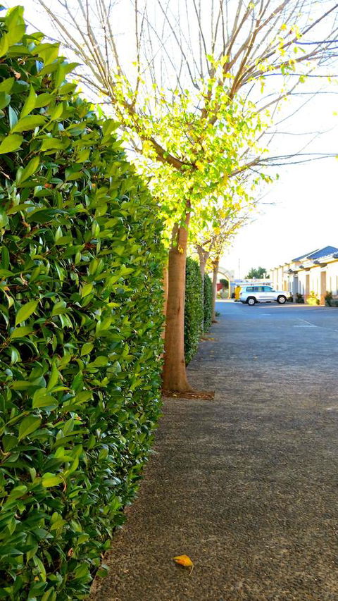 Best Western Plus Goulburn - Accommodation Rockhampton 37