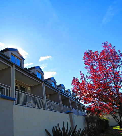 Best Western Plus Goulburn - Accommodation Rockhampton 9