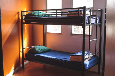 Mad Monkey Kings Cross - Accommodation Rockhampton 29