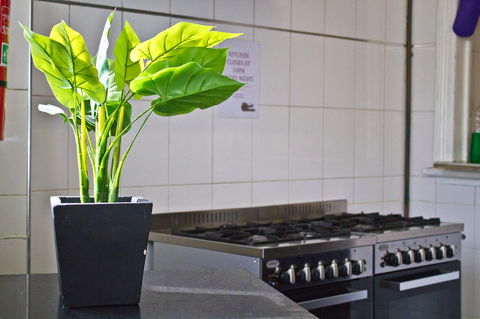 Mad Monkey Kings Cross - Accommodation Rockhampton 19