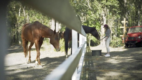 The Woods Farm Jervis Bay - Accommodation Rockhampton 13