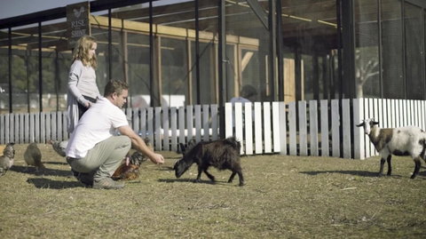 The Woods Farm Jervis Bay - Accommodation Rockhampton 14