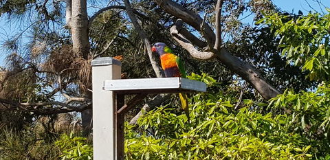 The Edgewater On Greville - Accommodation Rockhampton 15