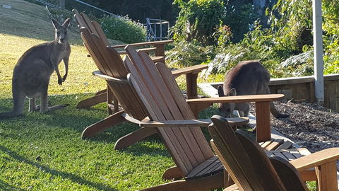 The Edgewater On Greville - Accommodation Rockhampton 18