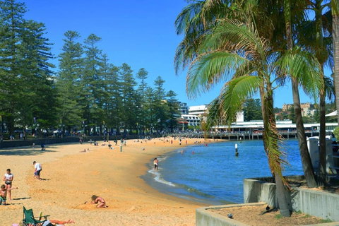 Oversized 2 Bedroom Manly Beach House - Accommodation Rockhampton 14