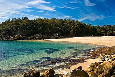 Oversized 2 Bedroom Manly Beach House - Accommodation Rockhampton 10