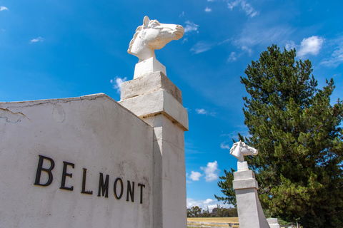 Belmont - Accommodation Rockhampton 4
