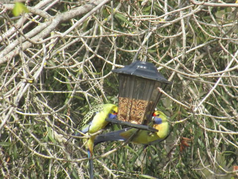 Allonville Gardens Motel - Accommodation Rockhampton 36