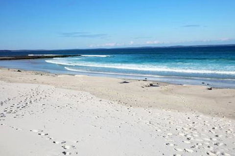 Jervis Bay Beach Shack I Pet Friendly - Accommodation Rockhampton 16