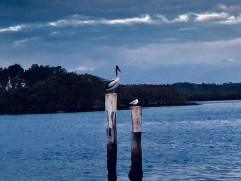 Boathouse Resort (Water Front) - Accommodation Rockhampton 15