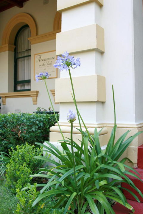 Avonmore On The Park Boutique Hotel - Accommodation Rockhampton 15