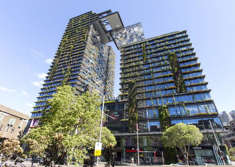 Comfortable Apartment In Central Sydney - Accommodation Rockhampton 10