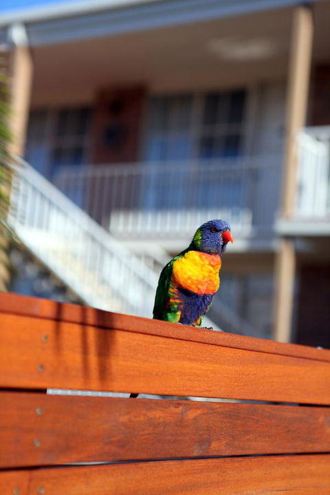Summerhill Motor Inn - Accommodation Rockhampton 30